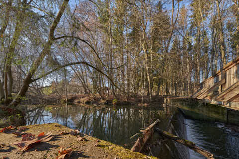 Gemeinde Eggenfelden Landkreis Rottal-Inn Gern Lichtlberger Wald (Dirschl Johann) Deutschland PAN